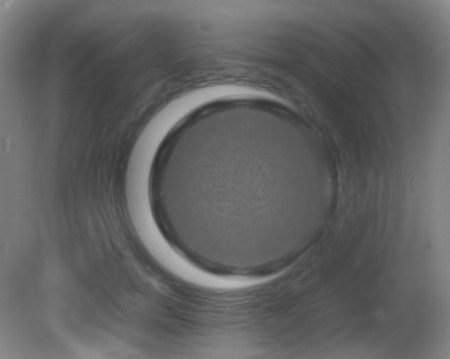 X0000082940750200702011305