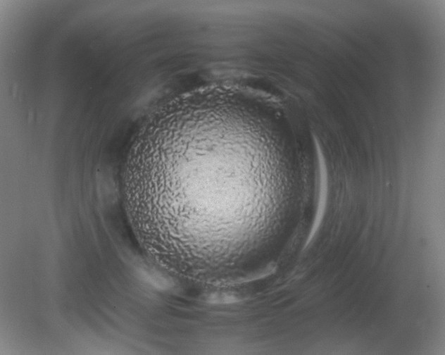 X0000082940751200702011305