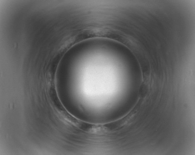 X0000082940752200702011305