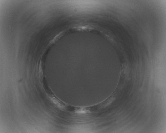 X0000082940754200702011305