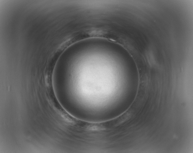 X0000082940755200702011305