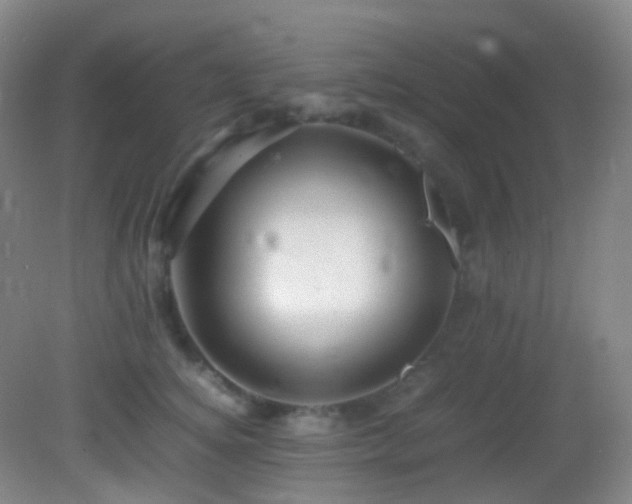 X0000082940756200702011305