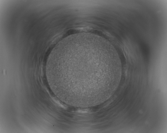 X0000082940757200702011305
