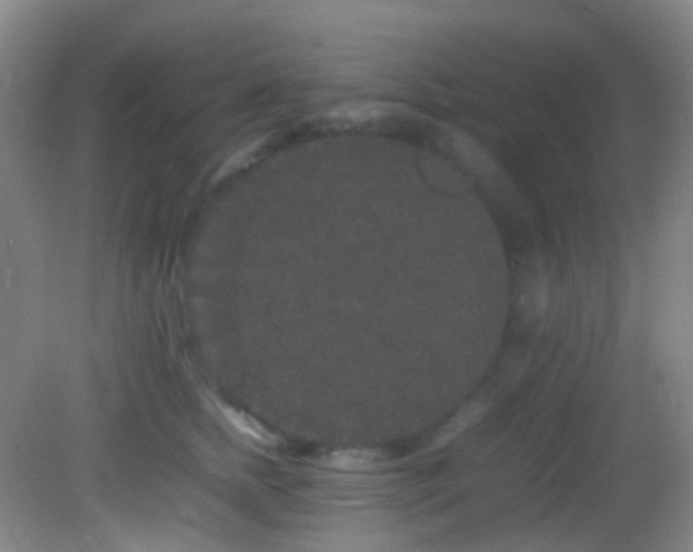 X0000082940758200702011305