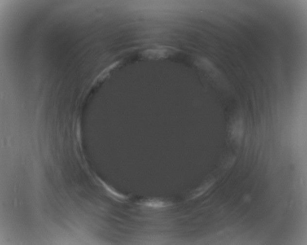 X0000082940759200702011305