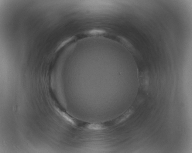 X0000082940762200702011305