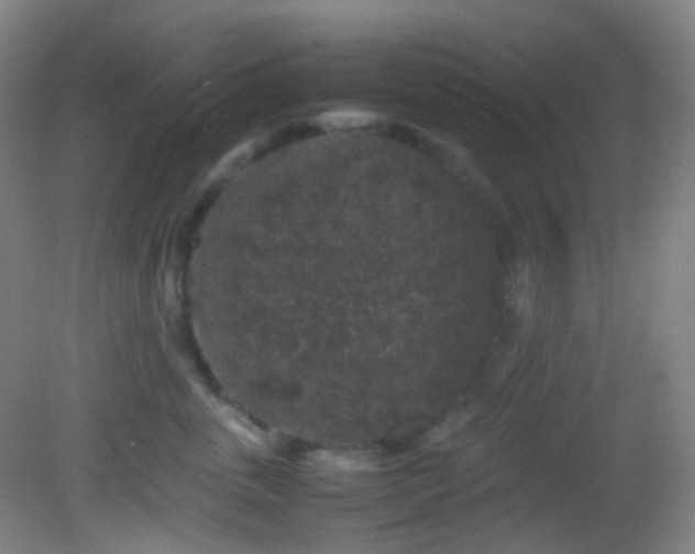 X0000082940763200702011305