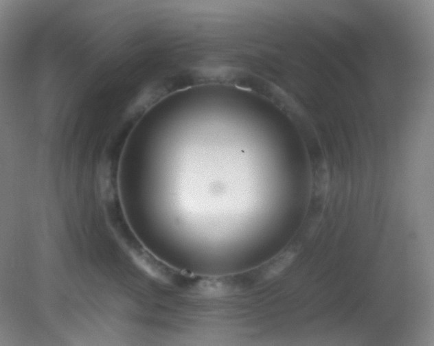 X0000082940764200702011305