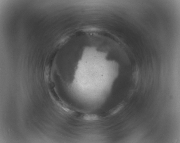 X0000082940767200702011305