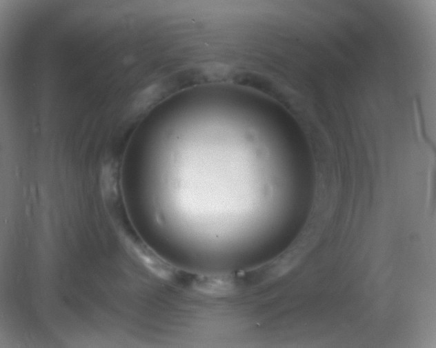 X0000082940768200702011305