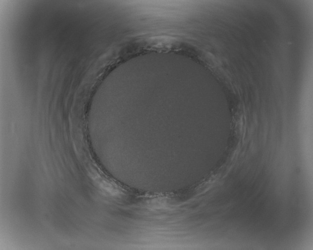 X0000082940769200702011305