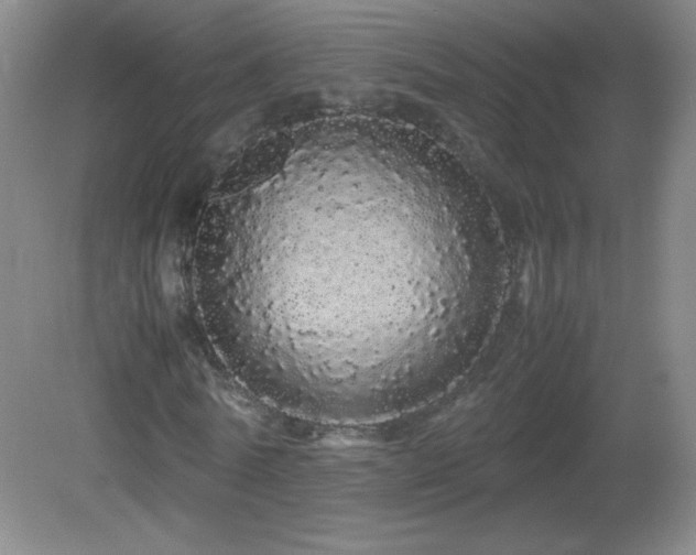 X0000082940770200702011305