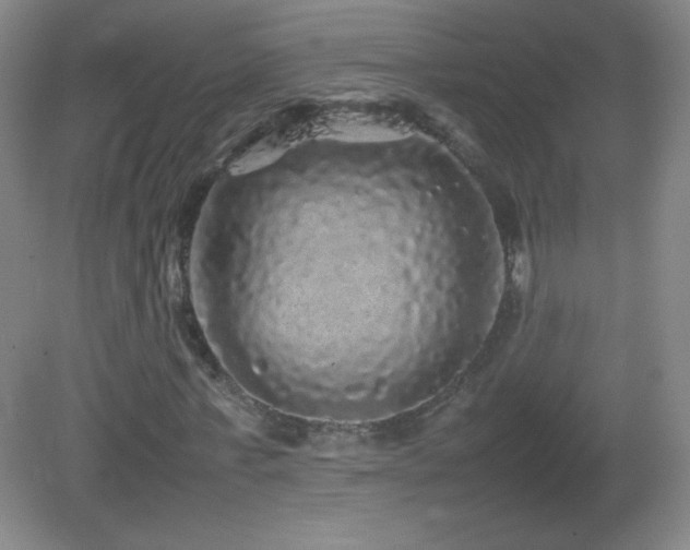 X0000082940771200702011305