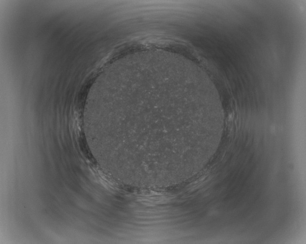X0000082940772200702011305