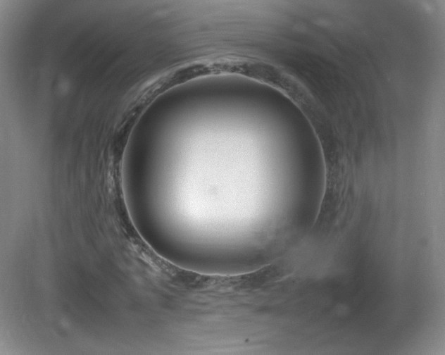 X0000082940773200702011305