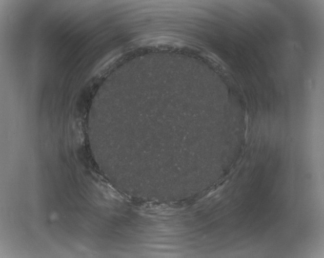 X0000082940774200702011305