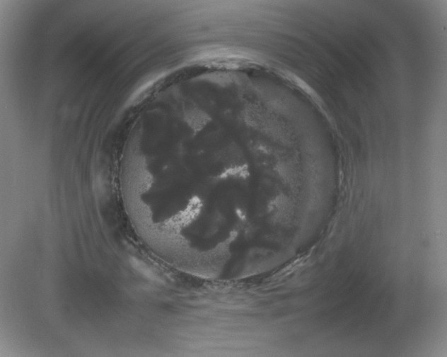 X0000082940775200702011305