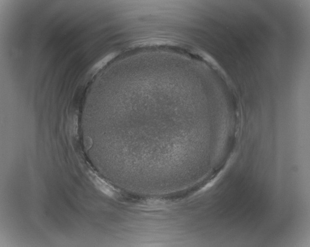 X0000082940777200702011305