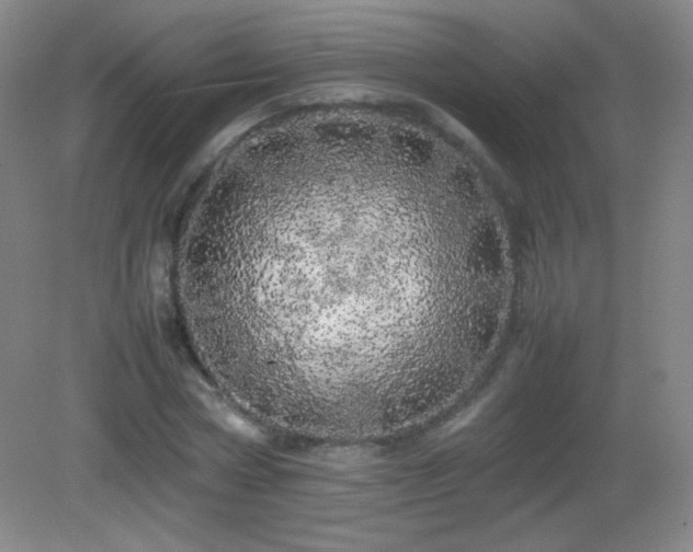 X0000082940778200702011305