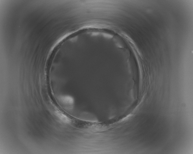 X0000082940779200702011304