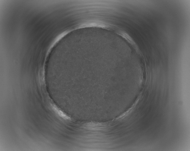 X0000082940780200702011304