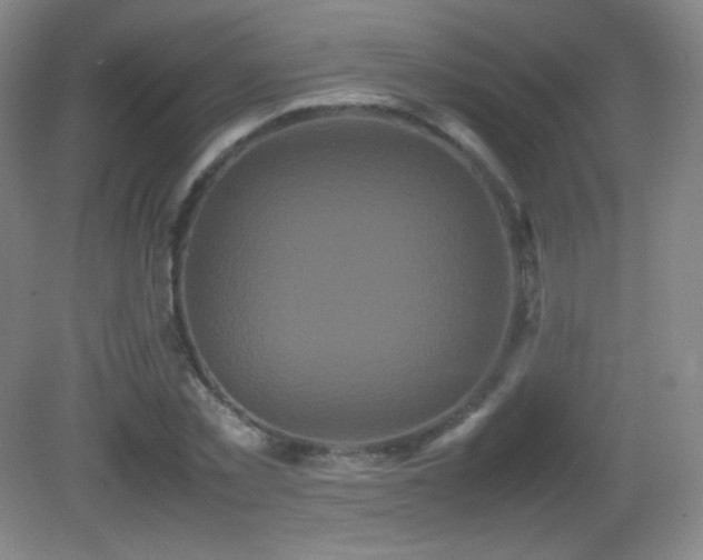 X0000082940781200702011304