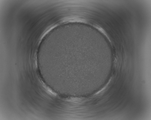 X0000082940782200702011304