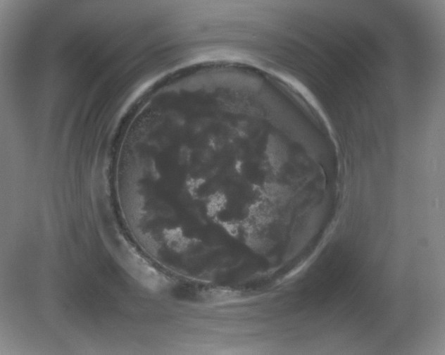 X0000082940783200702011304