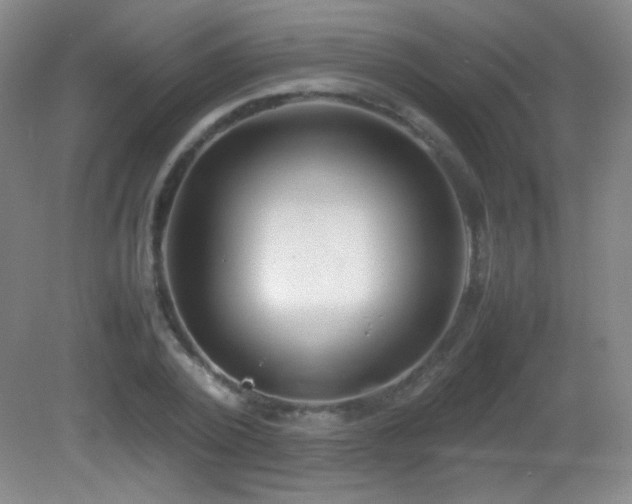 X0000082940784200702011304