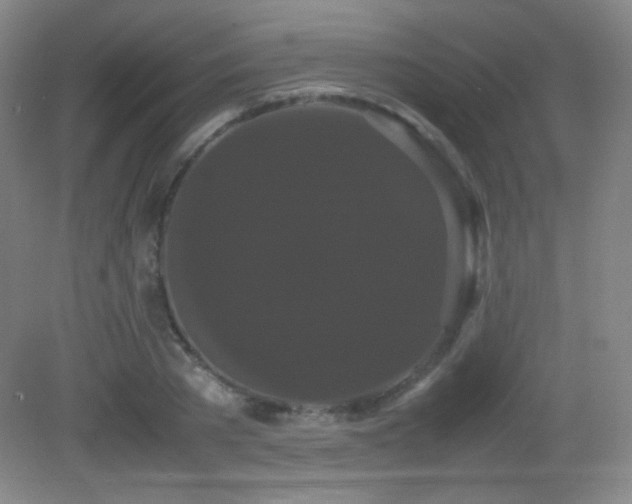 X0000082940785200702011304