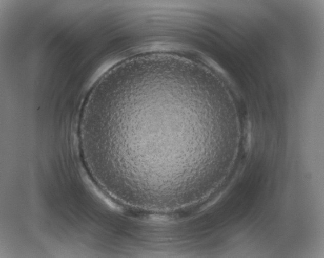 X0000082940794200702011304