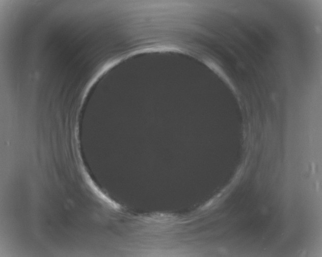 X0000082940797200702011304