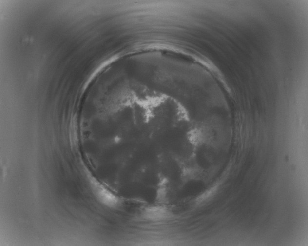 X0000082940798200702011304