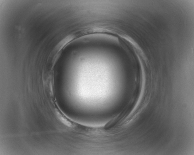 X0000082940801200702011304