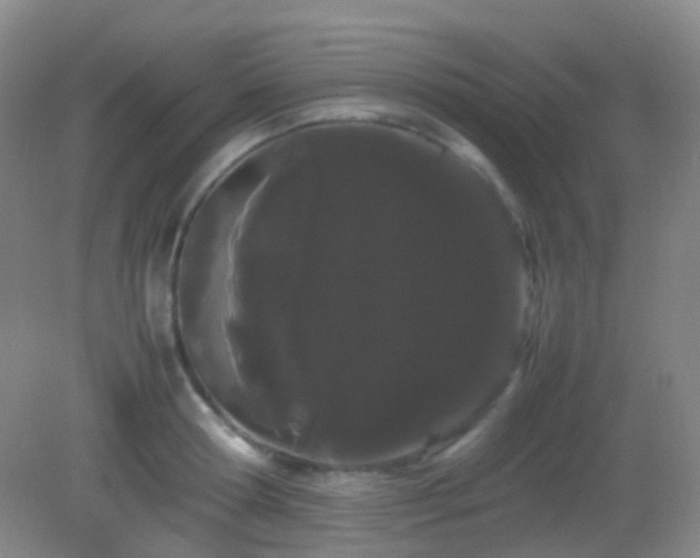 X0000082940802200702011304