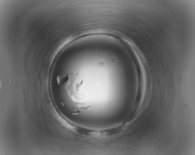 X0000082940805200702011304