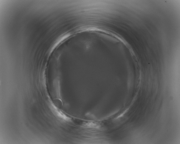 X0000082940806200702011304