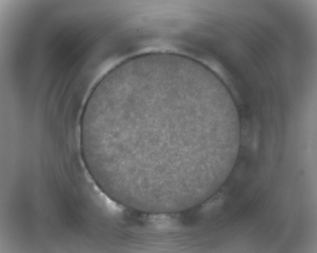 X0000082940807200702011304