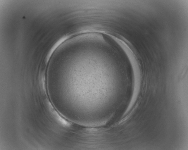 X0000082940812200702011304