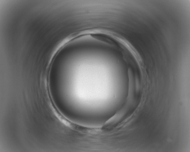 X0000082940813200702011304
