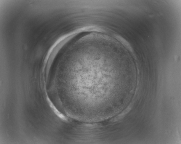 X0000082940816200702011304