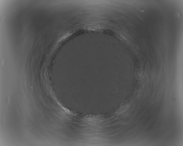 X0000082940817200702011303