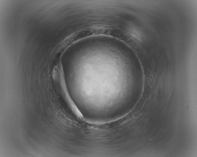 X0000082940821200702011303