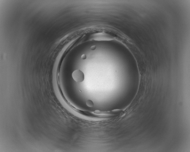 X0000082940822200702011303