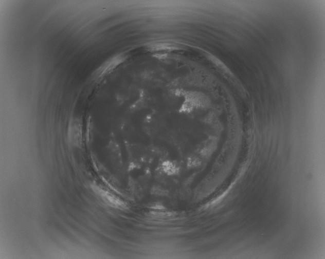 X0000082940825200702011303