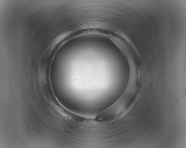 X0000082940826200702011303