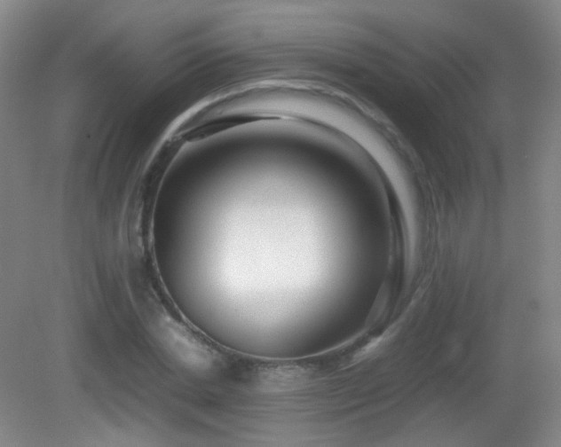 X0000082940830200702011303