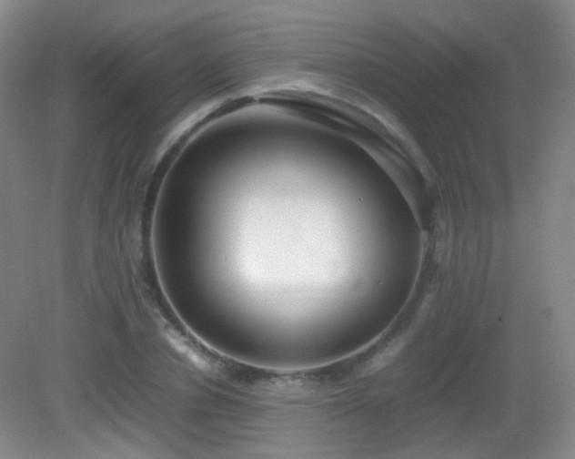 X0000082940834200702011303
