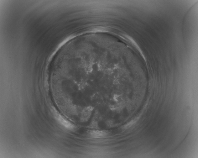 X0000082940835200702011303