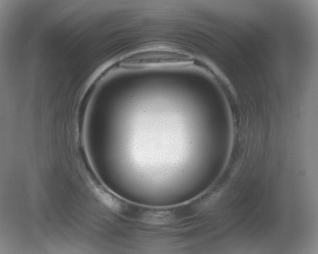 X0000082940837200702011303